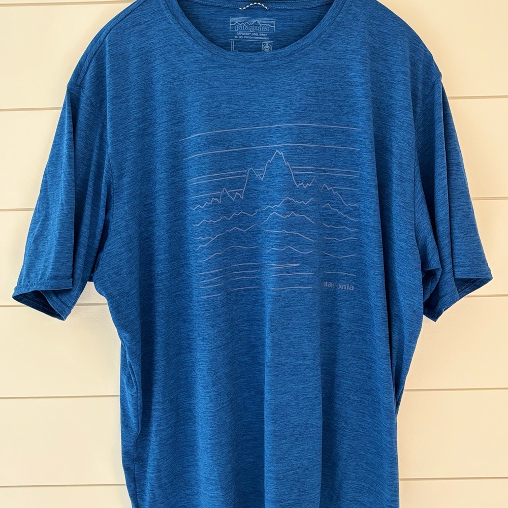 Patagonia Blue Short Sleeve Tee with Mountain Graphic